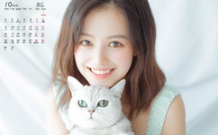 阿v2019天堂官网